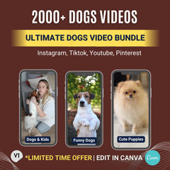 dog content creators