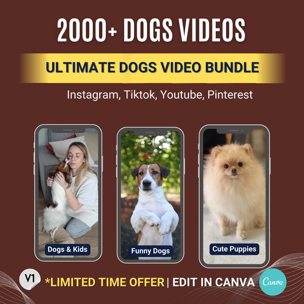 dog content creators
