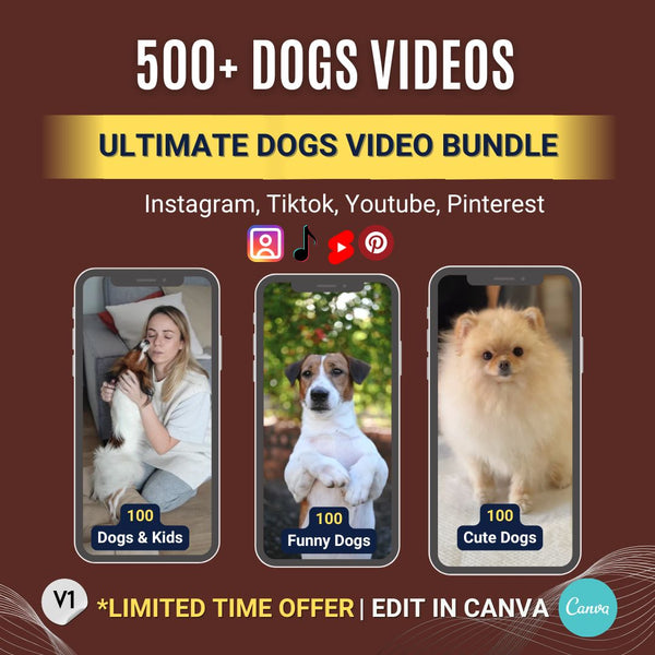 500+ Downloadable Dog Videos & Clips – Funny, Cute & Heartwarming Content