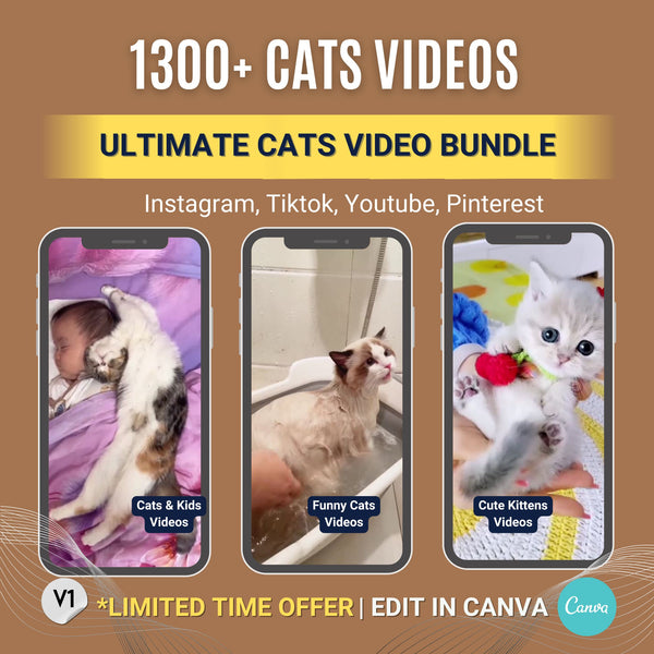 🐱 Cat Video Clip Bundle – High-Quality Stock Footage for Cat Content Creators
