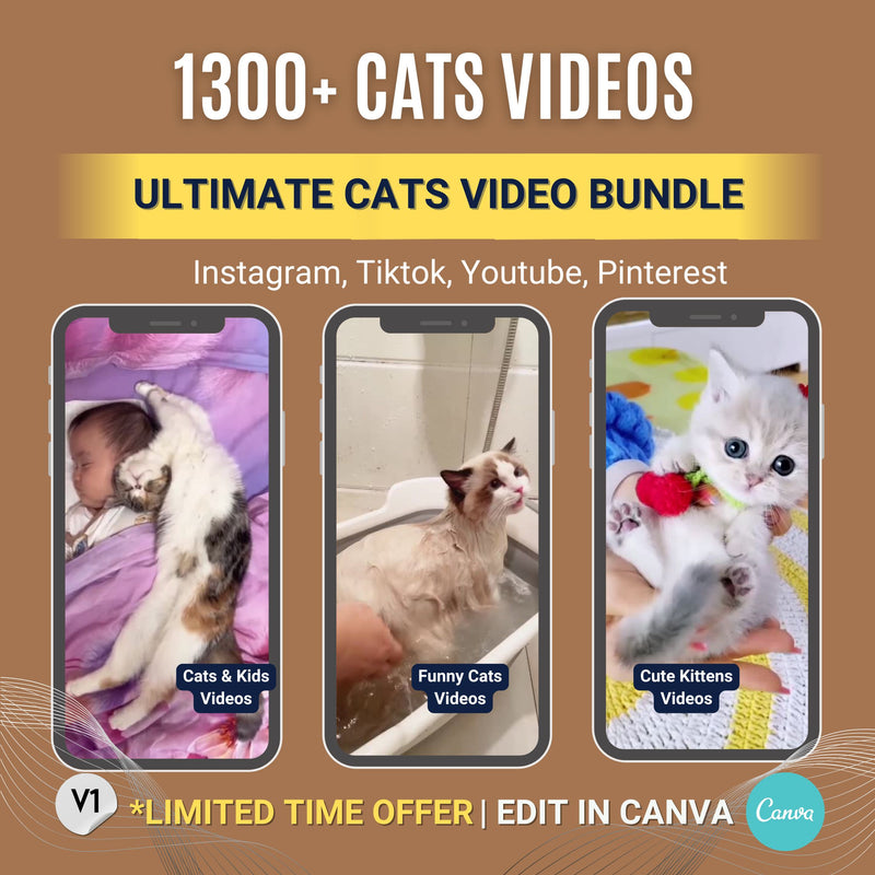 🐱 Cat Video Clip Bundle – High-Quality Stock Footage for Cat Content Creators
