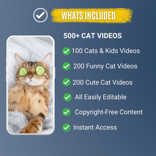 🐱 Cat Video Clip Bundle – High-Quality Stock Footage for Cat Content Creators
