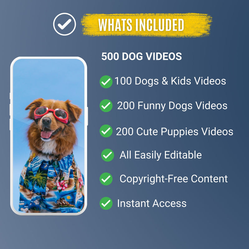 500+ Downloadable Dog Videos & Clips – Funny, Cute & Heartwarming Content