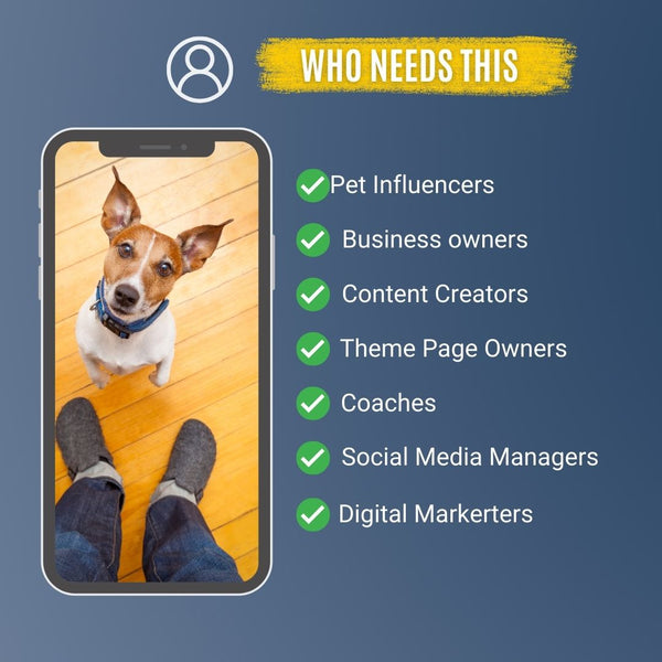 500+ Downloadable Dog Videos & Clips – Funny, Cute & Heartwarming Content