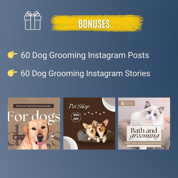 500+ Downloadable Dog Videos & Clips – Funny, Cute & Heartwarming Content