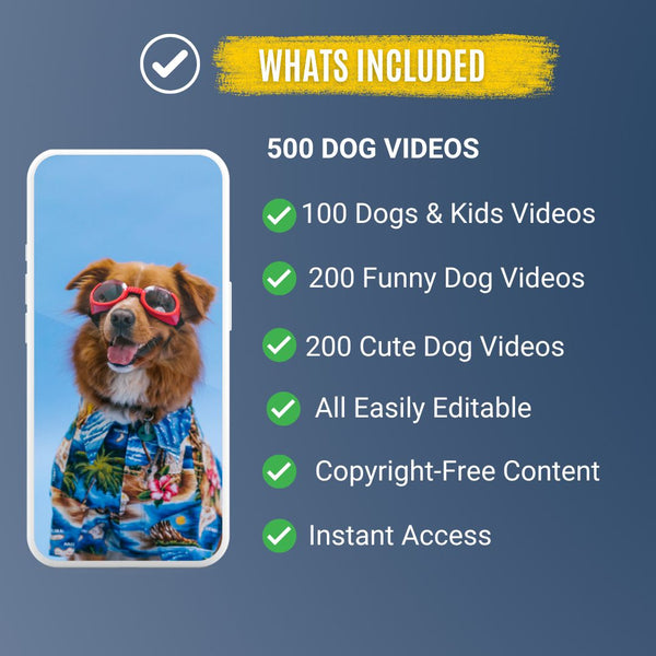 500+ Downloadable Dog Videos & Clips – Funny, Cute & Heartwarming Content
